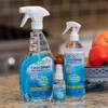 CleanSmart To Go Disinfectant Kills 99.9% of Viruses, TSA-Approved for