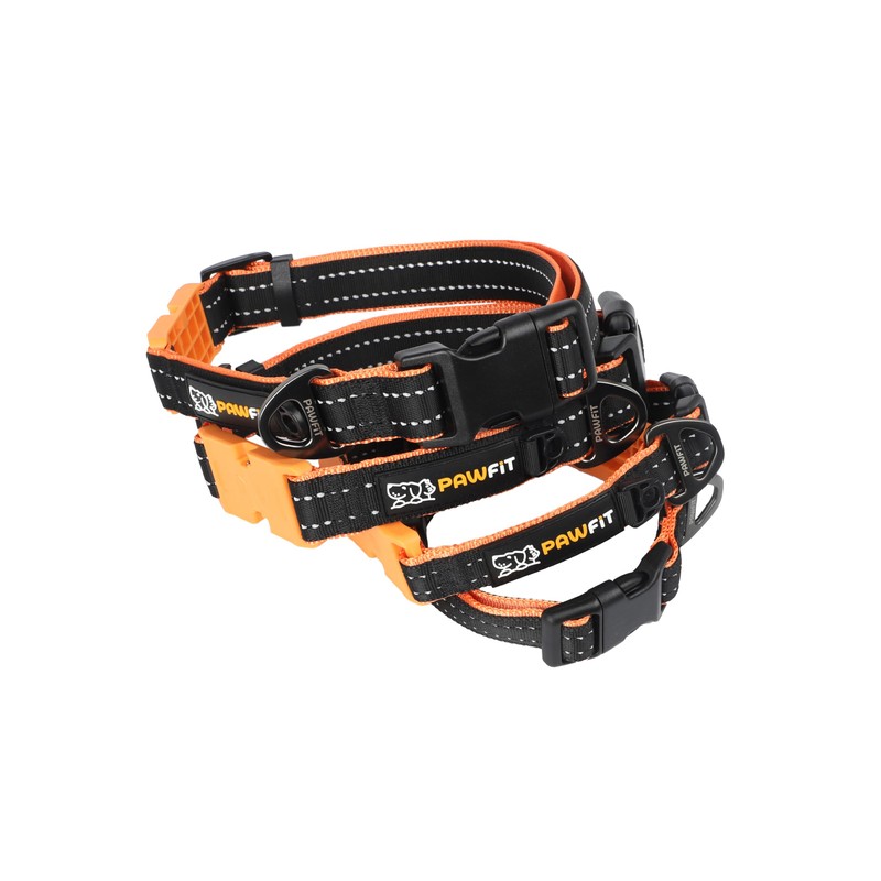 Pawfit 3 Series Collar, Nylon Dog Collar with Safety Buckle,