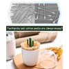 AKOAK 1 Pack Empty Four Season Plant Toothpick Box/Animal Cotton