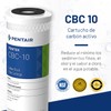 Pentair Pentek CBC-10 Carbon Water Filter, 10-Inch, Under Sink Carbon