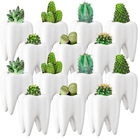 Tooth Shaped Flower Pot Dental Pots Ceramic Modern Style Teeth Pots White Cactus Bonsai Planter Container Small Cute Succulent Plant Pot for Dentists Gift Home Office Decoration, 3.9 Inch (14 Pcs)