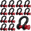 Otoolling 12 Pack 1/2" D Ring Shackle Heavy Duty with