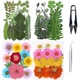 Cayway Natural Dried Pressed Flowers, Natural Dried Pressed Leaves, Natural Dry Flowers Leaves with Tweezers, Scissors for Pressed Leaf Art Craft DIY Embellishment Decorations ( Green Yellow Pink)