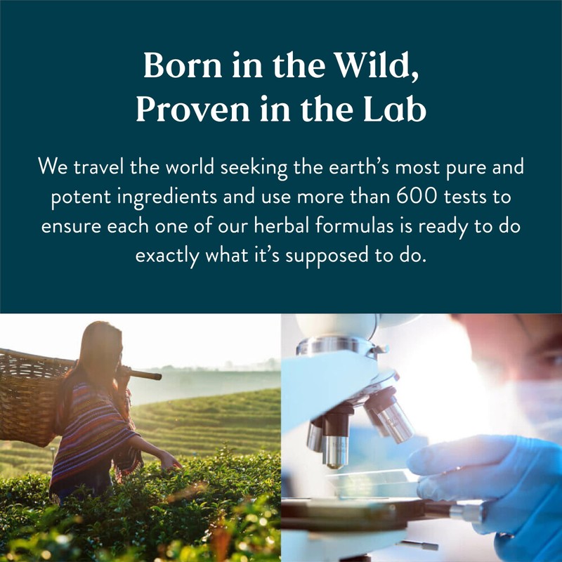 Nature's Sunshine Balanced B Complex, 120 Tablets | B Complex