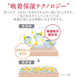 hadakara Body Soap, Oil In Type Foam, Refill, 14.2 fl oz (420 ml) (1)