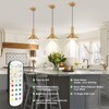 Battery Operated Pendant Lights 2 Pack,Rechargeable Pendant Light with Remote,Gold