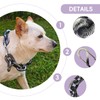 Funny Dog Collar, Plastic, Imitates Chains，Cute Collar for Medium and