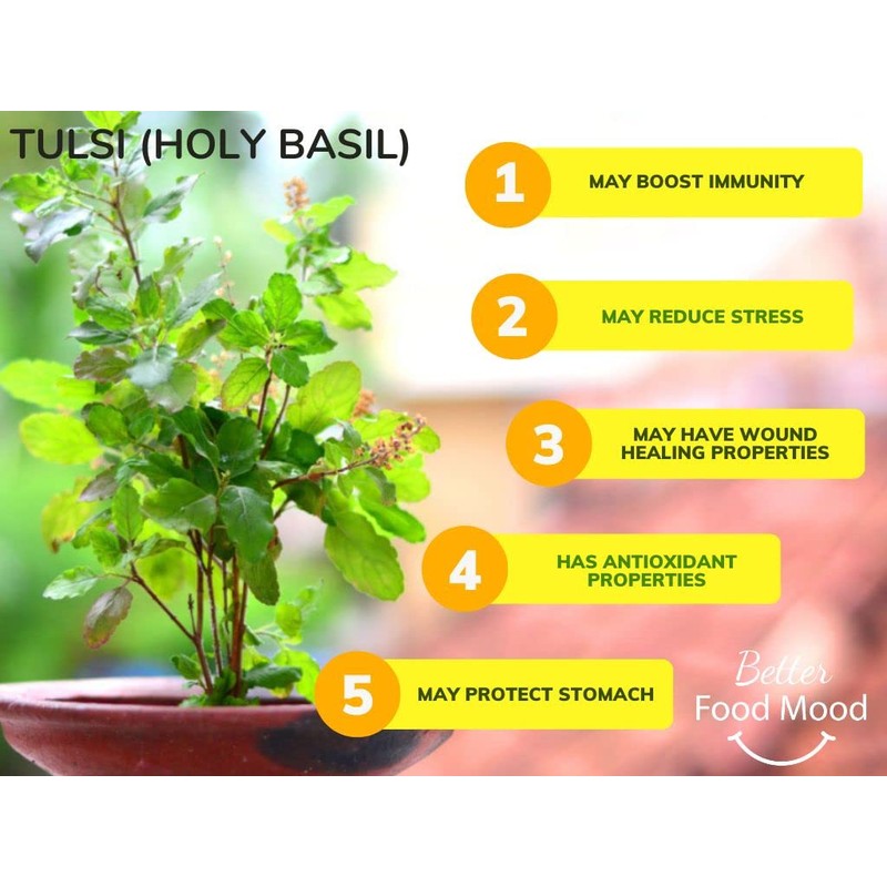 Superfood Holy Basil Moringa Tulsi Tea Herbal Tea (50 Tea