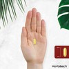 Cod Liver Oil Supplement 1000mg | 360 Softgels | with