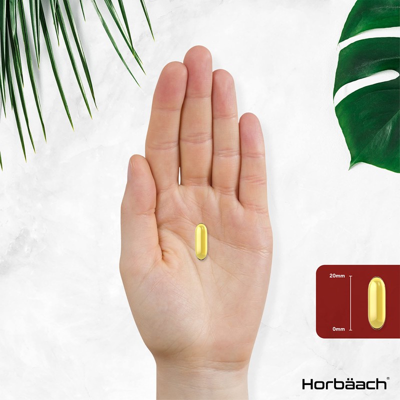 Cod Liver Oil Supplement 1000mg | 360 Softgels | with