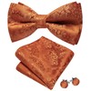 Barry.Wang Royal Blue Bow Ties for Men Pre-tied Bow Tie