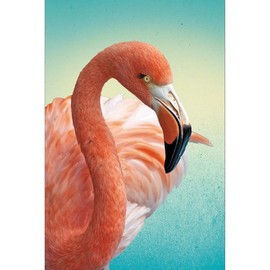 Tree-Free Greetings EcoNotes 12 Count Deco Flamingo All Occasion Notecard Set with Envelopes, 4 x 6 Inches (FS56228)