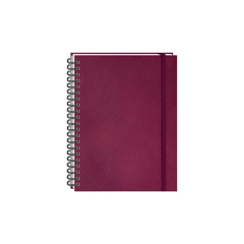 Libreta Cuaderno Profesional Pasta Dura 100 Hojas