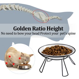 Wellbro Cat Bowls, Elevated Cat Bowl, Raised Ceramic Cat Dish with Metal Stand, Pet Water or Food Feeding Station for Indoor Cats, Kitten, Puppies and Small Dogs(2 Pack)