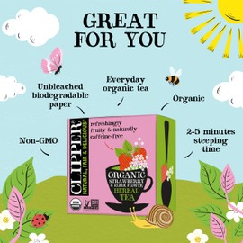 Clipper Tea Strawberry & Elderflower Herbal Tea – Caffeine Free, USDA Organic, Great Hot or Iced – Refreshingly Fruity, Natural, Fair & Delicious – 50 Tea Bags