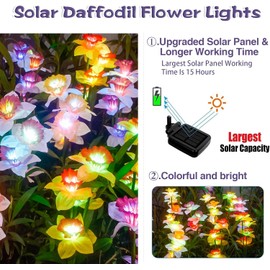 DooYard Solar Garden Lights, Color Changing Solar Daffodil Flower Lights, Upgraded Solar Panel, Solar Lights Outdoor for Garden Decoration,Yard Decor and Gift for Mother (4 Pack)