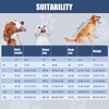 Avont Impermeable para Perro, Ropa de Lluvias de Diseño Reflectante