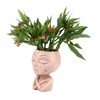Face Head Planter Succulent Plant Flower Pot Resin Container Face