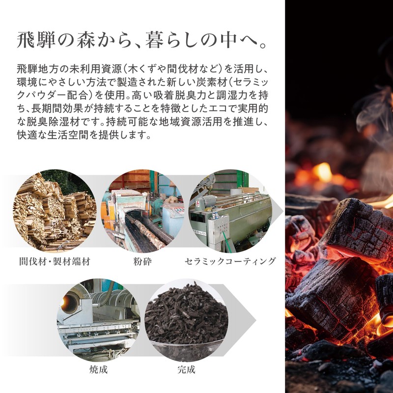 FUJIEI HD-002 Hida Charcoal Deodorizing Dehumidifier Sheet for Shoe Box,