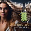 Ta Healing Nutrient Light Hair Oil