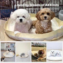 LETSMAT 100% Waterproof Puppy Pad Holder - Foldable, Easy Clean Pee Pad Holder Tray for Dogs - Indoor Dog Pee Pad Tray Holder - Puppy Training Pee Pad Tray (Small(30"x22"x2"))