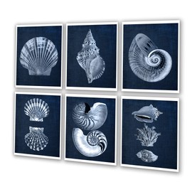 Gnosis Picture Archive Navy Blue Beach Decor Seashells Wall Art set of 6 Unframed Prints