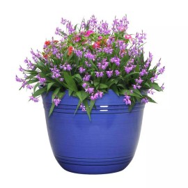 L&G Polyresin Galileo Planter Cobalt