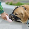 Dog Muzzle, Soft Rubber Safe Basket Breathable Muzzles Adjustable Straps