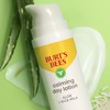 Burt's Bees Calming Day Face Lotion With Aloe and Rice