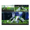 2 LB to Complete Freshwater Planted Aquarium Substrate,Aquatic plant cultivation