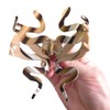 Mysterious Snake Hair Clip,Funny Acetate Hair Clip,Big Claw Clips for