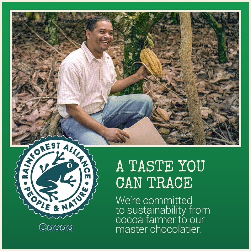 Chocolove Mint Crème Chocolate Bites | 55% Cocoa | Refreshing