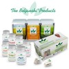 Beljanski® Products - Ginkgo V® Dietary Supplement - Ginkgo Biloba