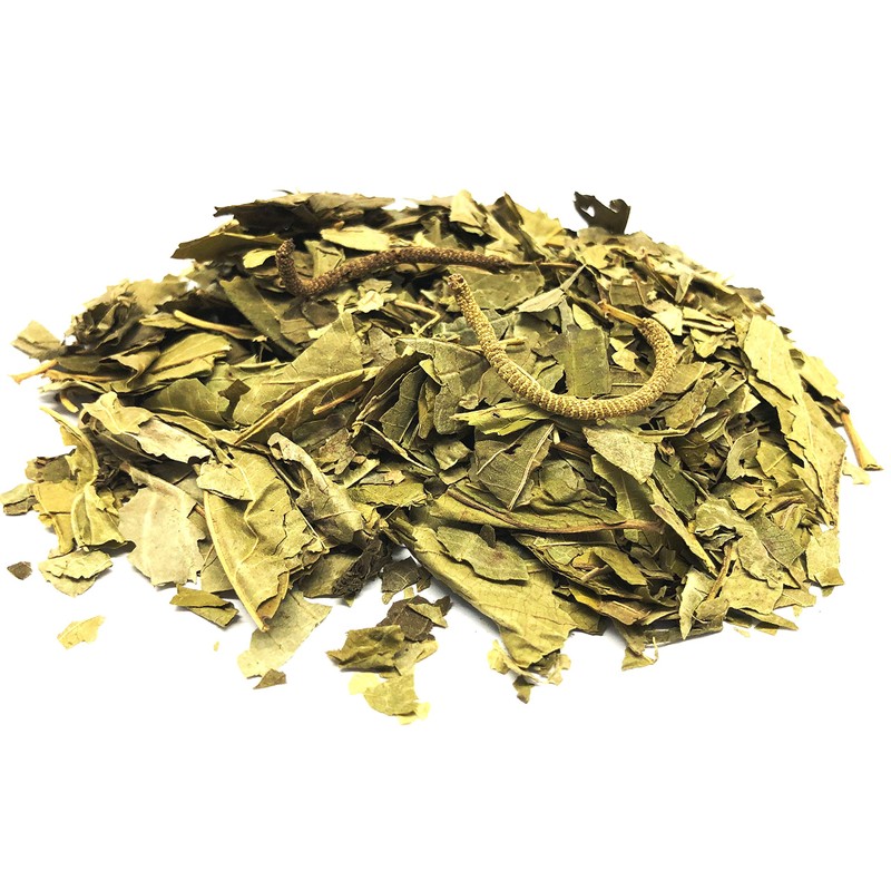 Matico Herbal Tea Value Pack (90g) Piper aduncum