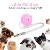 Retractable Dog Leash for Small Dogs Cats up to 11lbs