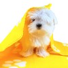 TBK Pets Double-Sided Fleece Pet Blanket, Soft Snuggle Blanket for