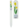 Brajek 82SYP108 Nail File Glass Hand Painted 5.5 inches (14