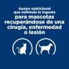 Hills A/d Perro/gato Recuperacion 24 Latas De 156g Original