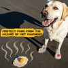 Dog Shoes for Hot Pavement - Non-Slip Summer Dog Booties