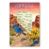 NEVADA MAP postcard set of 20 identical postcards. NV state