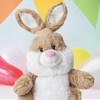 VFM - 14" Value Sitting Bunny Rabbit - Brown