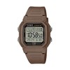 Casio Illuminator 10-Year Battery Digital Watch W-800H-5AVCF