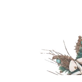 Gallerie II Shimmer Coastal Star Ornament Brown