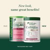 Great Lakes Wellness Great Lakes Wellness Beauty Boost Advanced Collagen