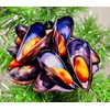 Seafood Mussels Ornament