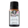 Cashmere Glow Fragrance Oil (15ml) for Perfume, Diffusers, Soap Making,
