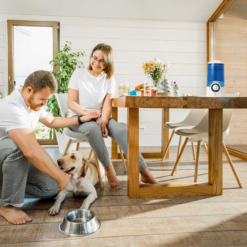 Perfect Aire 1.0 Gallon Warm Mist Humidifier - Produces Steam