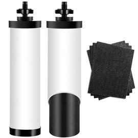 Ceramic Water Filter Element, Repeatable Cleaning Filters for Berkey Travel, Large, Royal, Crown Series Gravity-Fed Water Filters, Outer Ceramic and Inner Black Activated Carbon, Pack of 2