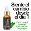 Vitalis Aceite de Moringa Puro Natural, 30 ml, Antiarrugas y