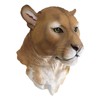 Ebros Gift Sarabi Large African Lioness Head Hanging Wall Decor